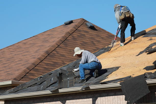Best Roof Ventilation Installation  in Britton, SD
