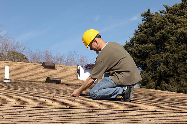 Best Skylight Installation and Repair  in Britton, SD